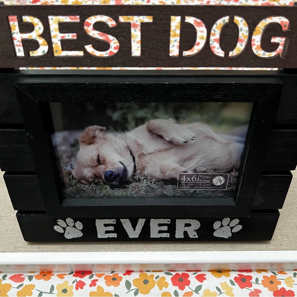 Dog frames